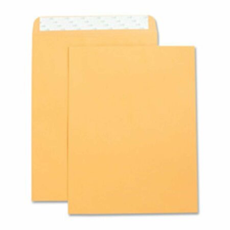 DAVENPORT & CO Catalog Envelopes - Kraft - 10in.x13in., 2PK DA3197641